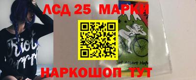 амф Заволжье