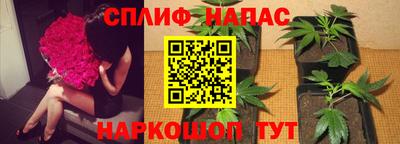 ГАЛЛЮЦИНОГЕННЫЕ ГРИБЫ Кингисепп