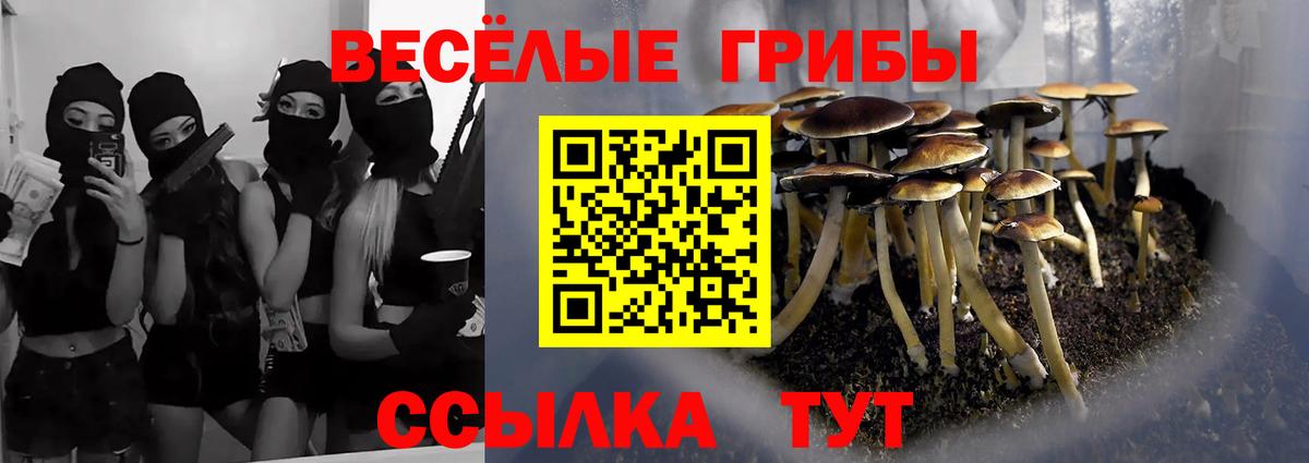 Чебаркуль  Псилоцибиновые грибы ЛСД  дарнет шоп  Вход с VPN 